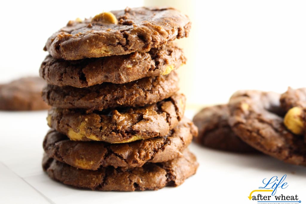 Raise your hand if you love brownies! Now you can satisfy that craving a little quicker with these gluten free brownie cookies-filled with all the rich, fudgey goodness you love about brownies, but in a nice portable package 