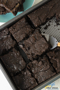 Chewy, fudgy, chocolate brownies sprinkled with sea salt and gluten free! 10 ingredients, 15 minutes to mix 20 minutes to bake.