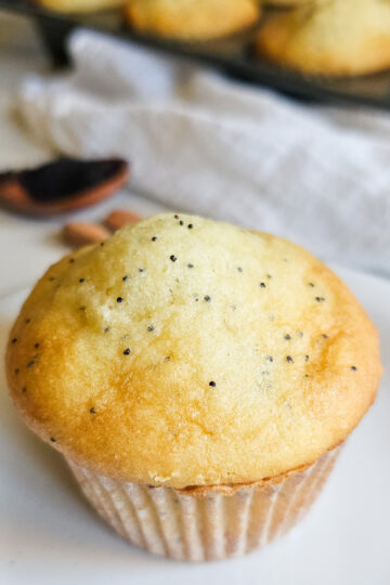 a golden brown muffin with blue speckles on a plate
