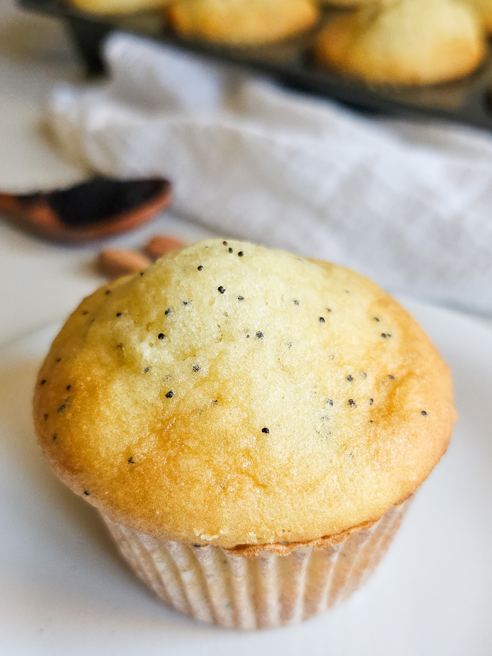 a golden brown muffin with blue speckles on a plate