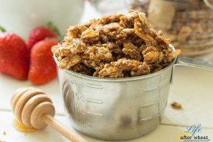 Finally, an oat free granola that actually tastes like granola! Use this crunchy, subtly sweet granola as a breakfast cereal, yogurt topper, or on-the-go snack.