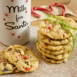 Shhhh! This recipe is straight from the Elves at Santa's Workshop. They know that Santa loves warm cookies that are soft and chewy in the middle with crispy edges. And of course adding crushed candy canes is the perfect touch for that Jolly Fellow. I can guarantee that the kiddos won't complain either! But even Santa doesn't know what secret ingredient makes these cookies over-the-top delicious.