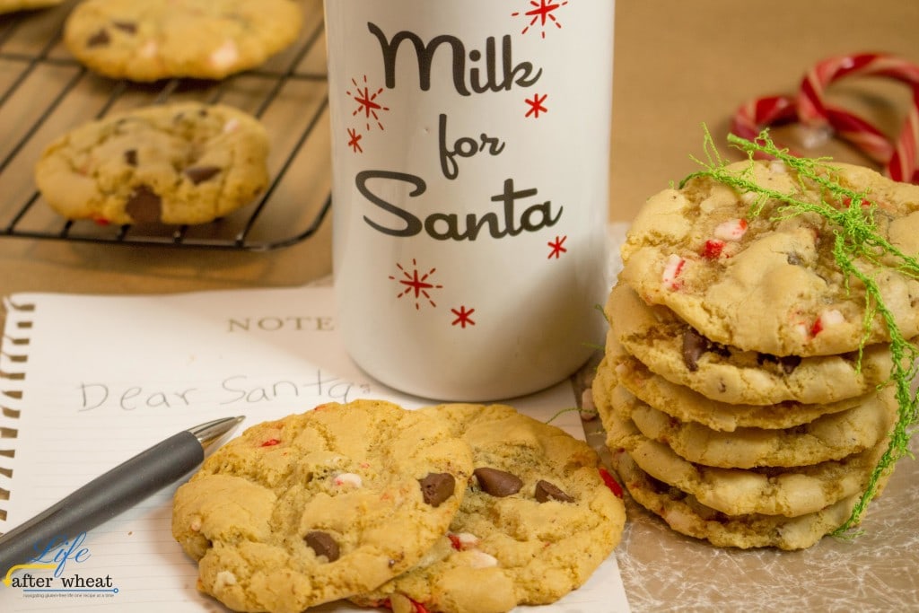 Shhhh! This recipe is straight from the Elves at Santa's Workshop. They know that Santa loves warm cookies that are soft and chewy in the middle with crispy edges. And of course adding crushed candy canes is the perfect touch for that Jolly Fellow. I can guarantee that the kiddos won't complain either! But even Santa doesn't know what secret ingredient makes these cookies over-the-top delicious. 