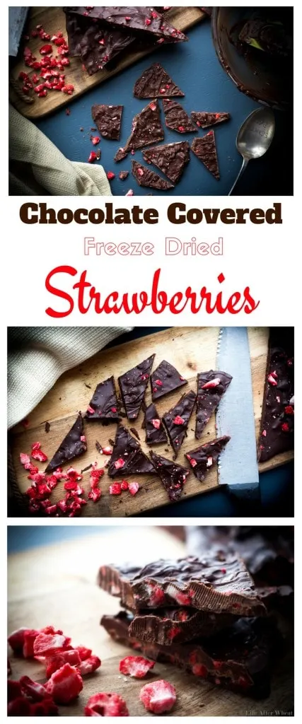The elegance of chocolate dipped strawberries in an easy-to-make chocolate bark! Creamy melted chocolate is studded with crisp freeze dried strawberries and topped with Himalayan sea salt. It's a beautiful treat that is perfect for any occasion or holiday! Dairy free option.