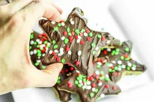 Cinnamon Stars (Zimtsterne) are classic German Christmas cookies. It's a simple and easy recipe that is naturally gluten free, dairy free and DELICIOUS! 