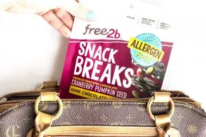 Gluten Free Snacks - Free2b Dairy Free Chocolate