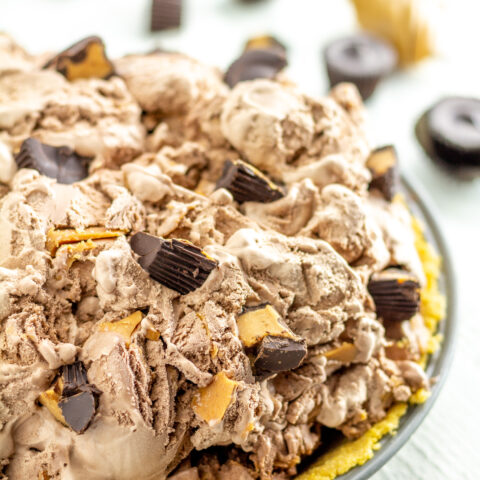 a chocolate peanut butter ice cream pie.