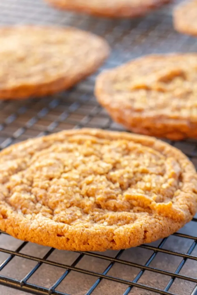 a golden brown pumpkin cookie is featured close up, sitting on a cooling rack above a dark blue backdrop. The cookie is crinkly on top and sprinkled with a coarse sugar.