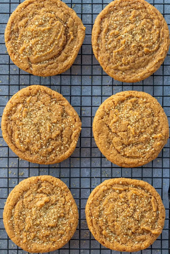 six round golden brown cookies sit on a cooling rack side by side over a dark blue backdrop. The cookies have crinkly tops and are sprinkled with coarse sugar.