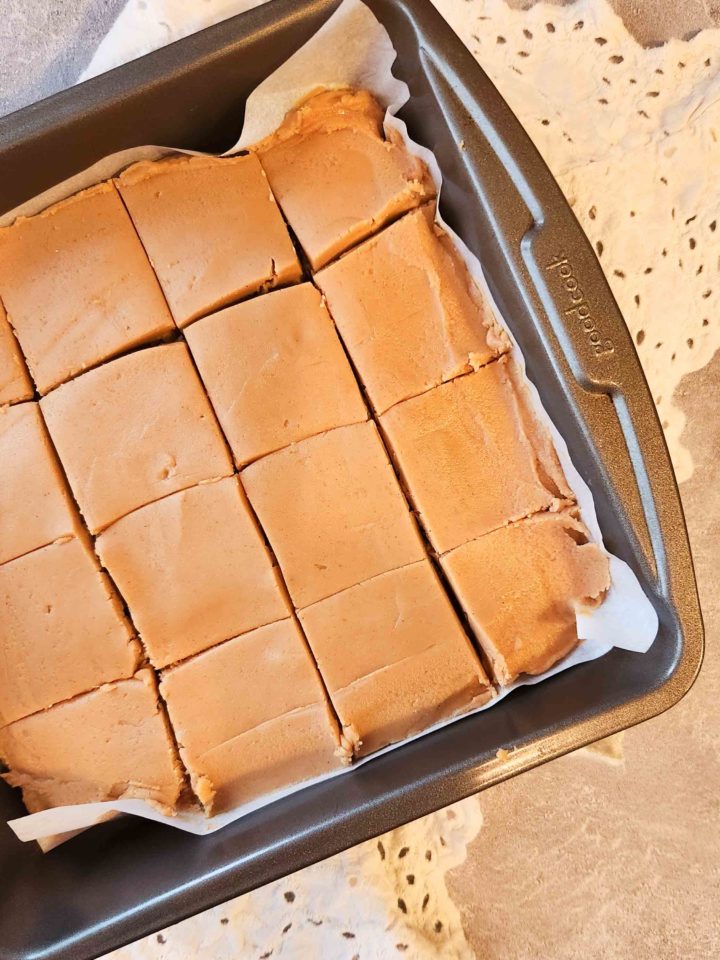 Easy 2 Ingredient Peanut Butter Fudge (with video)