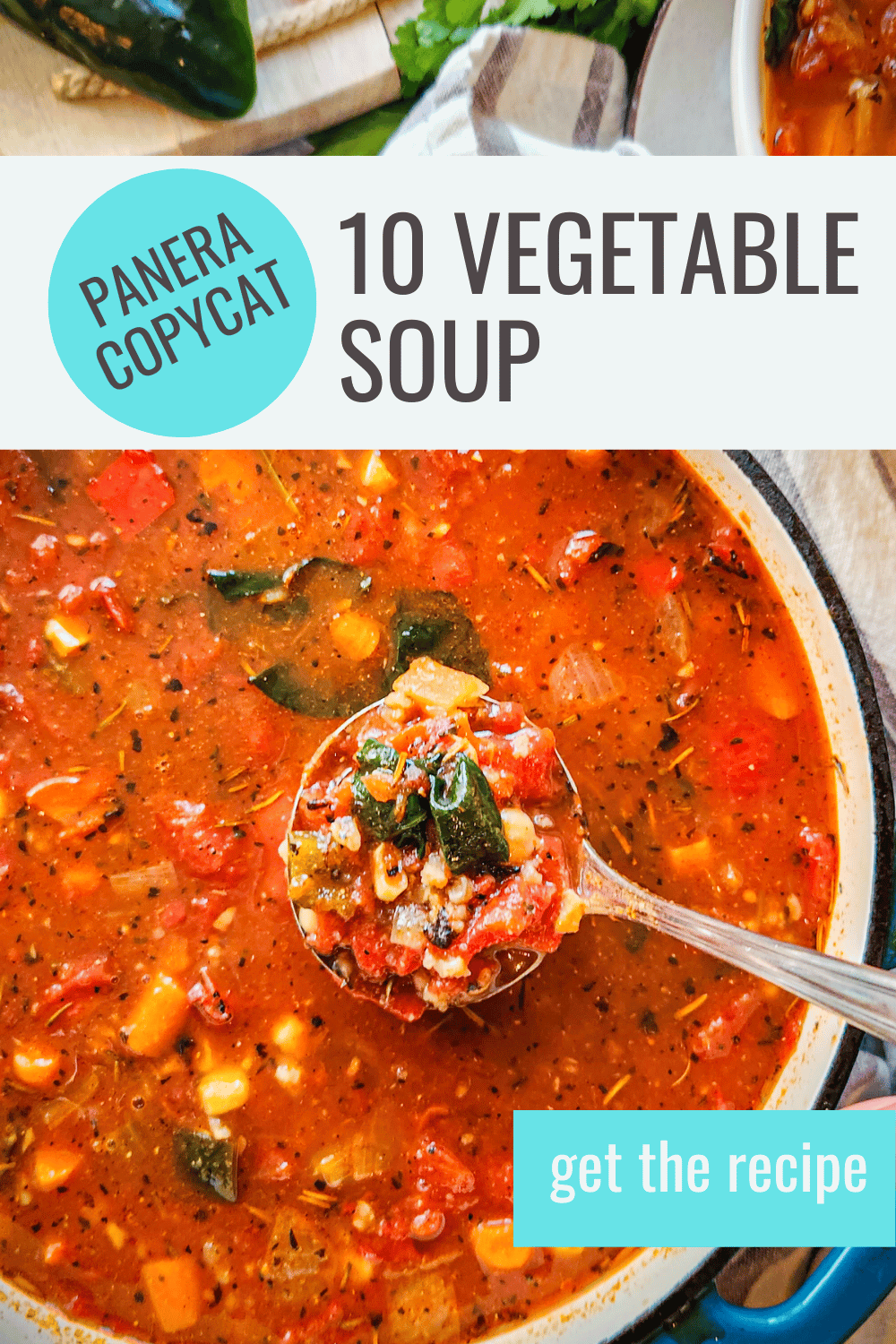 Copycat Panera Bread 10 Vegetable Soup · Seasonal Cravings