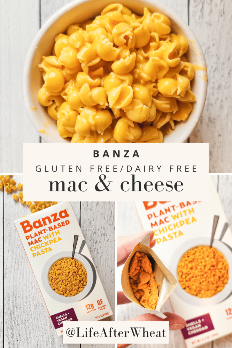 Gluten Free Mac and Cheese Honest Review The Best and the Worst