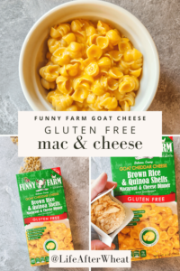 a green, red, and white box with shell shaped noodles and an open packeg of cheese powder that appears a little pale. The bowl of cooked gluten free mac and cheese appears good in texture, though it isn't completely full and the color is a little paler than traditional mac and cheese.