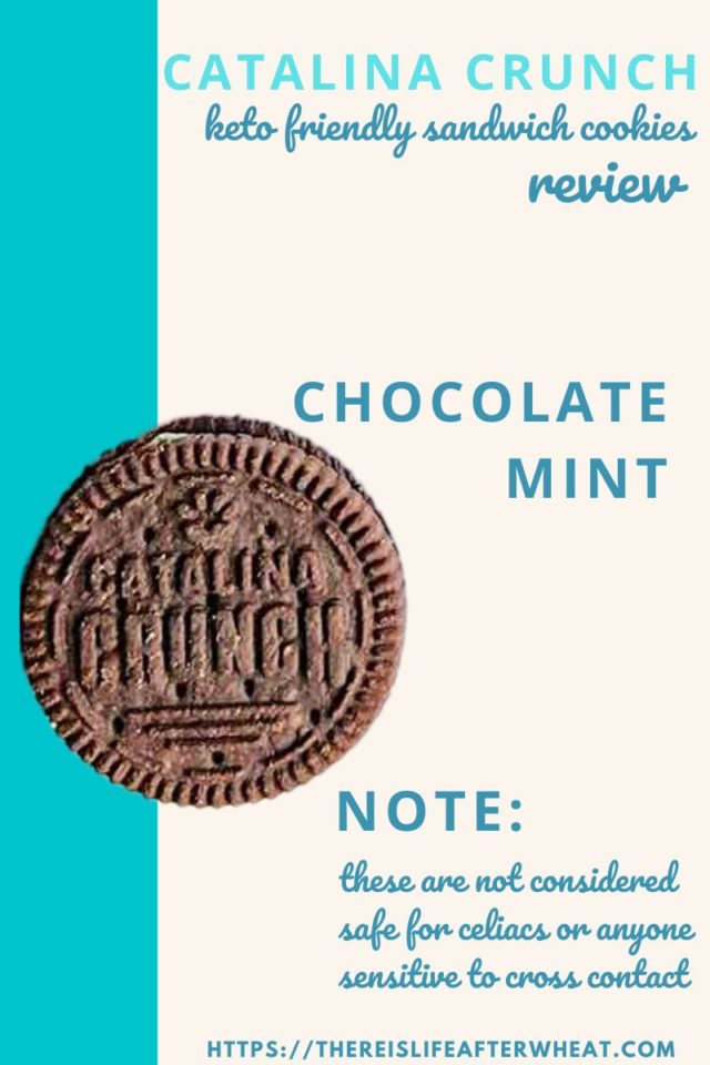 Gluten Free Oreos Review We Tried Them All! (2023)