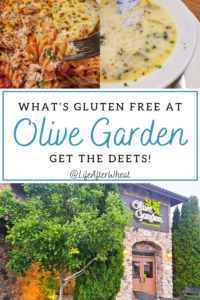 What's gluten free at Olive Garden? Pinterest image