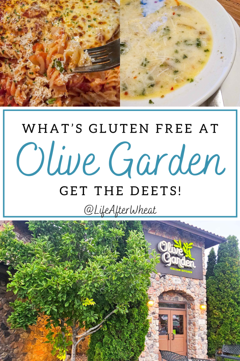 Olive Garden Gluten Free Menu Options (2024 Guide)