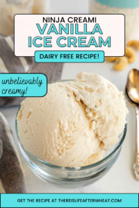 Ninja Creami dairy free vanilla ice cream recipe